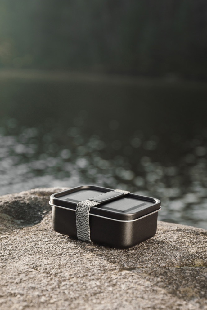 VINGA Parks RCS SS-lunchbox